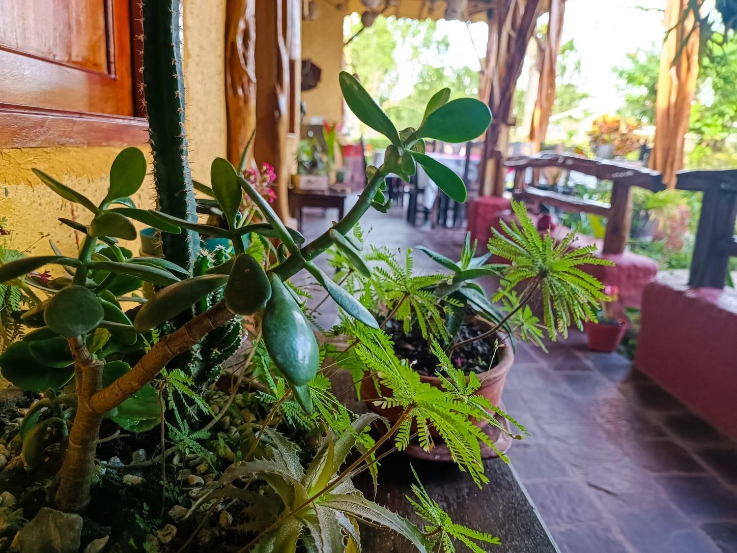 Hotel Del Campo Quimbaya Kültér fotó